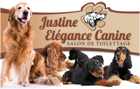 JUSTINE ÉLÉGANCE CANINE